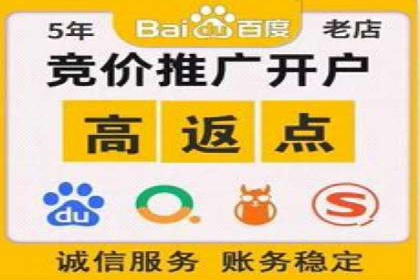 成功SEM竞价托管案例分析报告